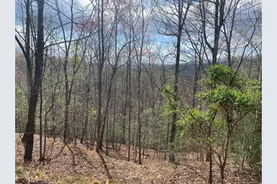 Lot 62 Jitterbug Lane, Murphy, NC 28906 - Photo 2