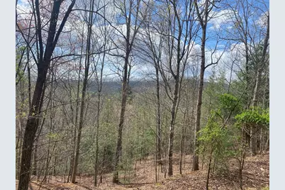Lot 62 Jitterbug Lane, Murphy, NC 28906 - Photo 4
