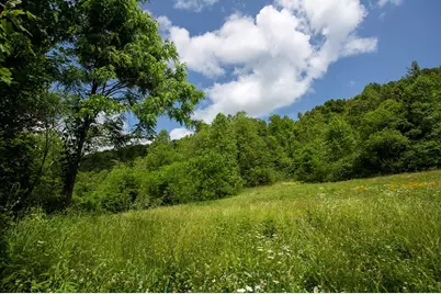 00 Peterson Road, Robbinsville, NC 28771 - Photo 2