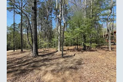 Lot 2 Lynae Lane, Murphy, NC 28906 - Photo 2