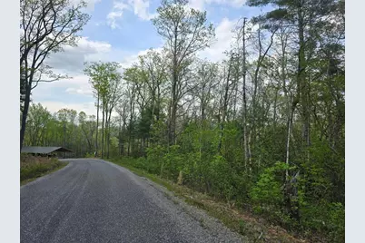 Lot 10 Kennedys Court, Blairsville, GA 30512 - Photo 1