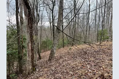 19 Lots Crockett, Hayesville, NC 28904 - Photo 64