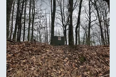 19 Lots Crockett, Hayesville, NC 28904 - Photo 8