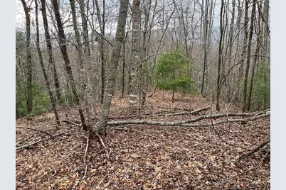 19 Lots Crockett, Hayesville, NC 28904 - Photo 68