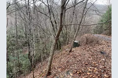 19 Lots Crockett, Hayesville, NC 28904 - Photo 56