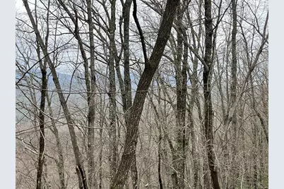 19 Lots Crockett, Hayesville, NC 28904 - Photo 6