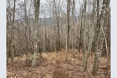 19 Lots Crockett, Hayesville, NC 28904 - Photo 20