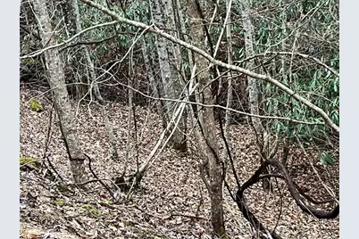 19 Lots Crockett, Hayesville, NC 28904 - Photo 60