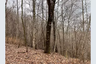19 Lots Crockett, Hayesville, NC 28904 - Photo 18