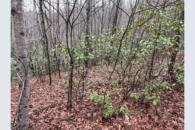 19 Lots Crockett, Hayesville, NC 28904 - Photo 44