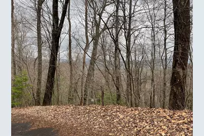 19 Lots Crockett, Hayesville, NC 28904 - Photo 30