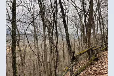 19 Lots Crockett, Hayesville, NC 28904 - Photo 24