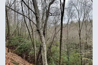 19 Lots Crockett, Hayesville, NC 28904 - Photo 58