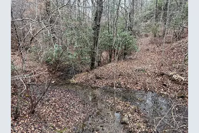 19 Lots Crockett, Hayesville, NC 28904 - Photo 50
