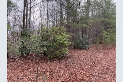 19 Lots Crockett, Hayesville, NC 28904 - Photo 42