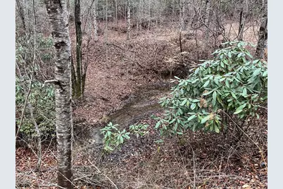 19 Lots Crockett, Hayesville, NC 28904 - Photo 52