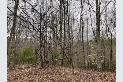 19 Lots Crockett, Hayesville, NC 28904 - Photo 66