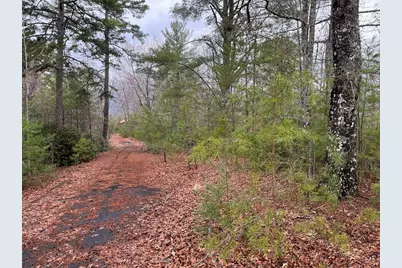 19 Lots Crockett, Hayesville, NC 28904 - Photo 40