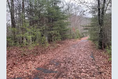 19 Lots Crockett, Hayesville, NC 28904 - Photo 38