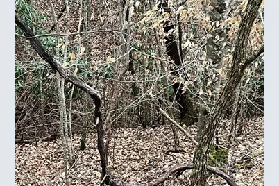 19 Lots Crockett, Hayesville, NC 28904 - Photo 62