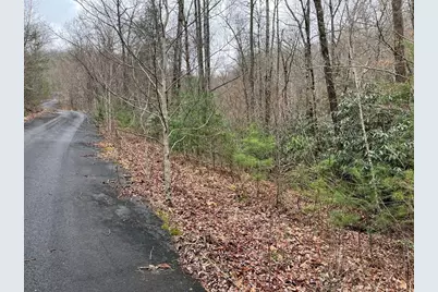 19 Lots Crockett, Hayesville, NC 28904 - Photo 54