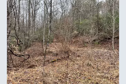 19 Lots Crockett, Hayesville, NC 28904 - Photo 46