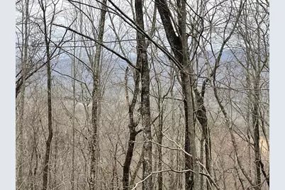 19 Lots Crockett, Hayesville, NC 28904 - Photo 4