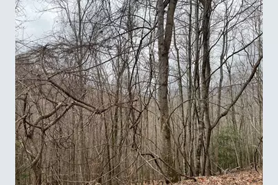 19 Lots Crockett, Hayesville, NC 28904 - Photo 12