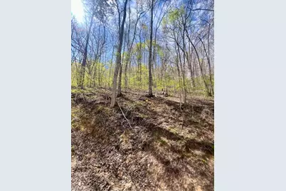00 Gunter Hollow, Robbinsville, NC 28771 - Photo 1