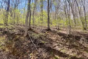 00 Gunter Hollow, Robbinsville, NC 28771 - Photo 1