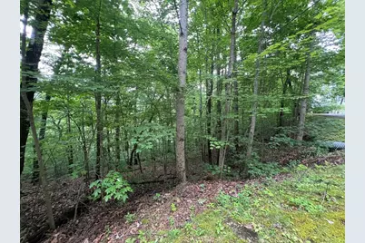 0 Ash Branch Circle, Hayesville, NC 28904 - Photo 2