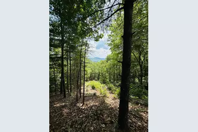 Lot #15 View Ridge Trail, Murphy, NC 28906 - Photo 6