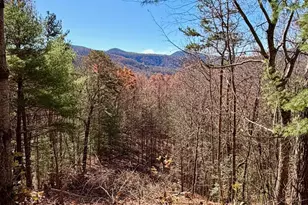 Lot #15 View Ridge Trail, Murphy, NC 28906 - Photo 1