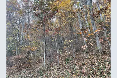 Lot 51J Indian Trail, Hayesville, NC 28904 - Photo 2