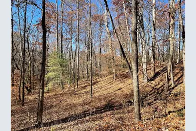 Tbd Ashe Knob Drive, Hayesville, NC 28904 - Photo 2