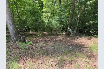Lot 3 Honeysuckle Drive, Blairsville, GA 30512 - Photo 1