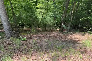 Lot 3 Honeysuckle Dr, Blairsville, GA 30512 - Photo 1