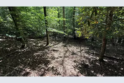 Lot 45 Granite Drive, Hayesville, NC 28904 - Photo 16