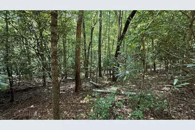 Lot 45 Granite Drive, Hayesville, NC 28904 - Photo 26