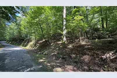 Lot 45 Granite Drive, Hayesville, NC 28904 - Photo 8