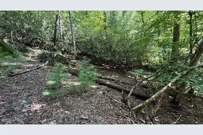Lot 45 Granite Drive, Hayesville, NC 28904 - Photo 22