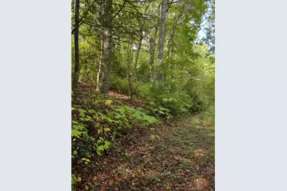 0 Yellow Branch Sr 1241, Robbinsville, NC 28771 - Photo 4