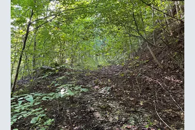 1111 Canopy Lane, Robbinsville, NC 28771 - Photo 24