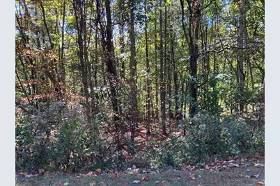 28/29 Sanctuary Drive, Murphy, NC 28906 - Photo 2