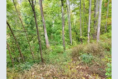 Lot 21 Skyview, Hayesville, NC 28904 - Photo 6