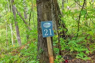 Lot 21 Skyview, Hayesville, NC 28904 - Photo 1