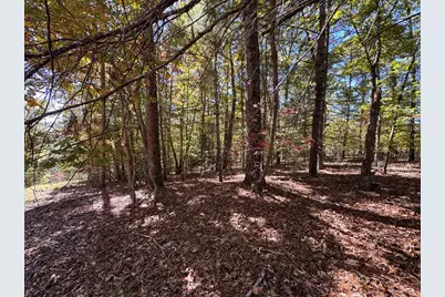 000 Highway 294, Murphy, NC 28906 - Photo 6