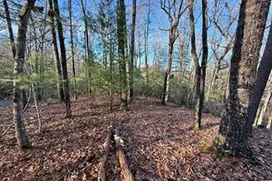 Lot 42 Panico Trail, Murphy, NC 28906 - Photo 1