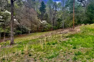 16378 W U S 64 Hwy, Murphy, NC 28906 - Photo 14