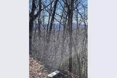 Lot 29J Ash Branch Rd, Hayesville, NC 28904 - Photo 1